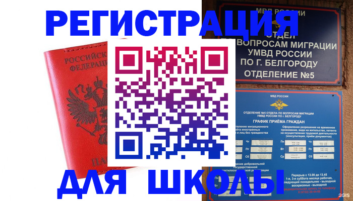 форма 3 в Амурской области